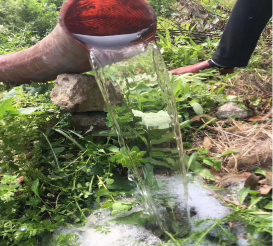 3308白綠吸污凈化車藍(lán)牌 3308白綠吸污凈化車藍(lán)牌